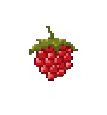 raspberry